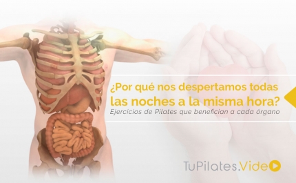 ¿Por qué nos despertamos todas las noches a la misma hora?